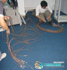 小型IT公司網絡布線安裝全解 從規劃到驗收的組圖指南