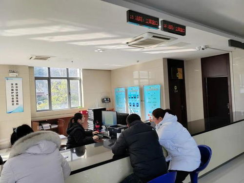 便捷惠民 延伸訴訟服務，啟東法院開通全國戶籍人口信息查詢功能